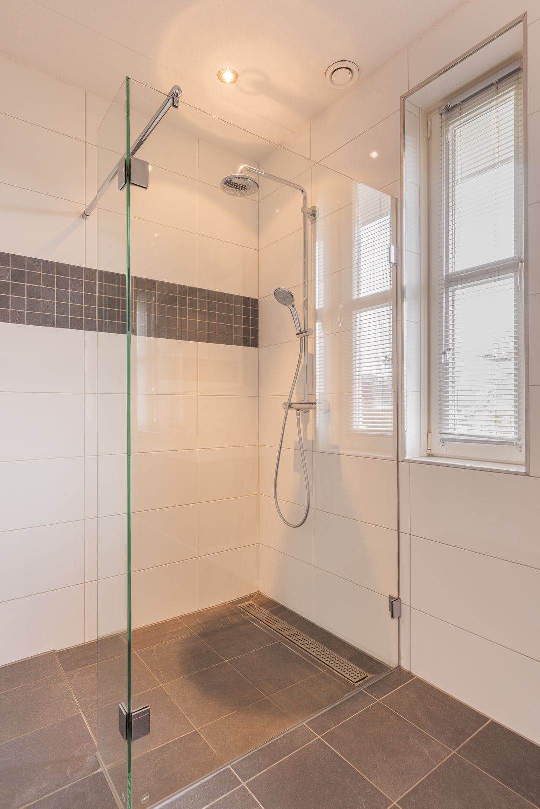 Photo 47 of Watersalamander 41