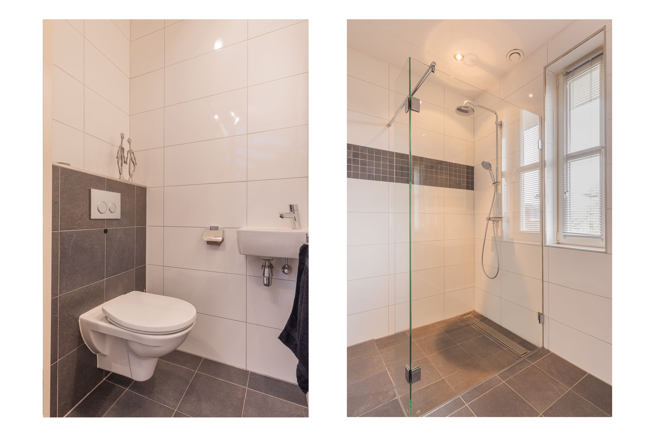 Photo 48 of Watersalamander 41