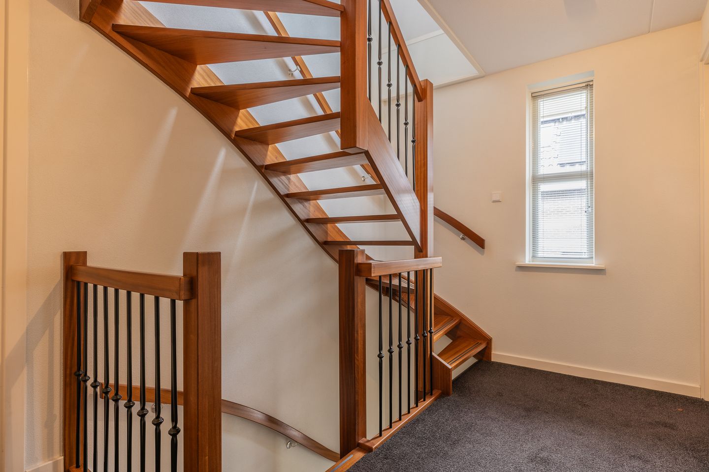 Photo 49 of Watersalamander 41