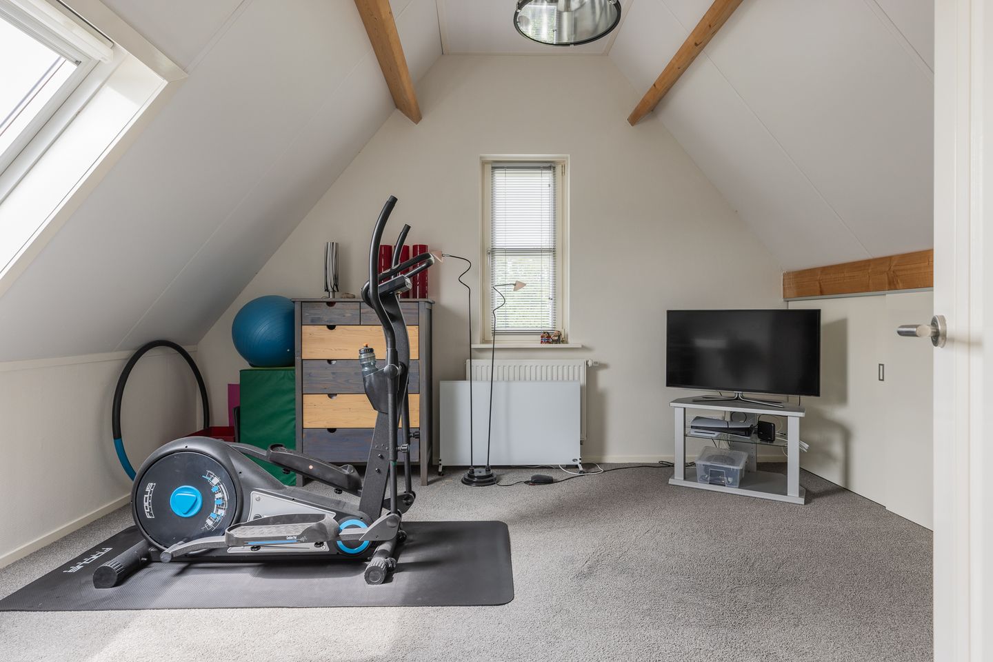 Photo 50 of Watersalamander 41