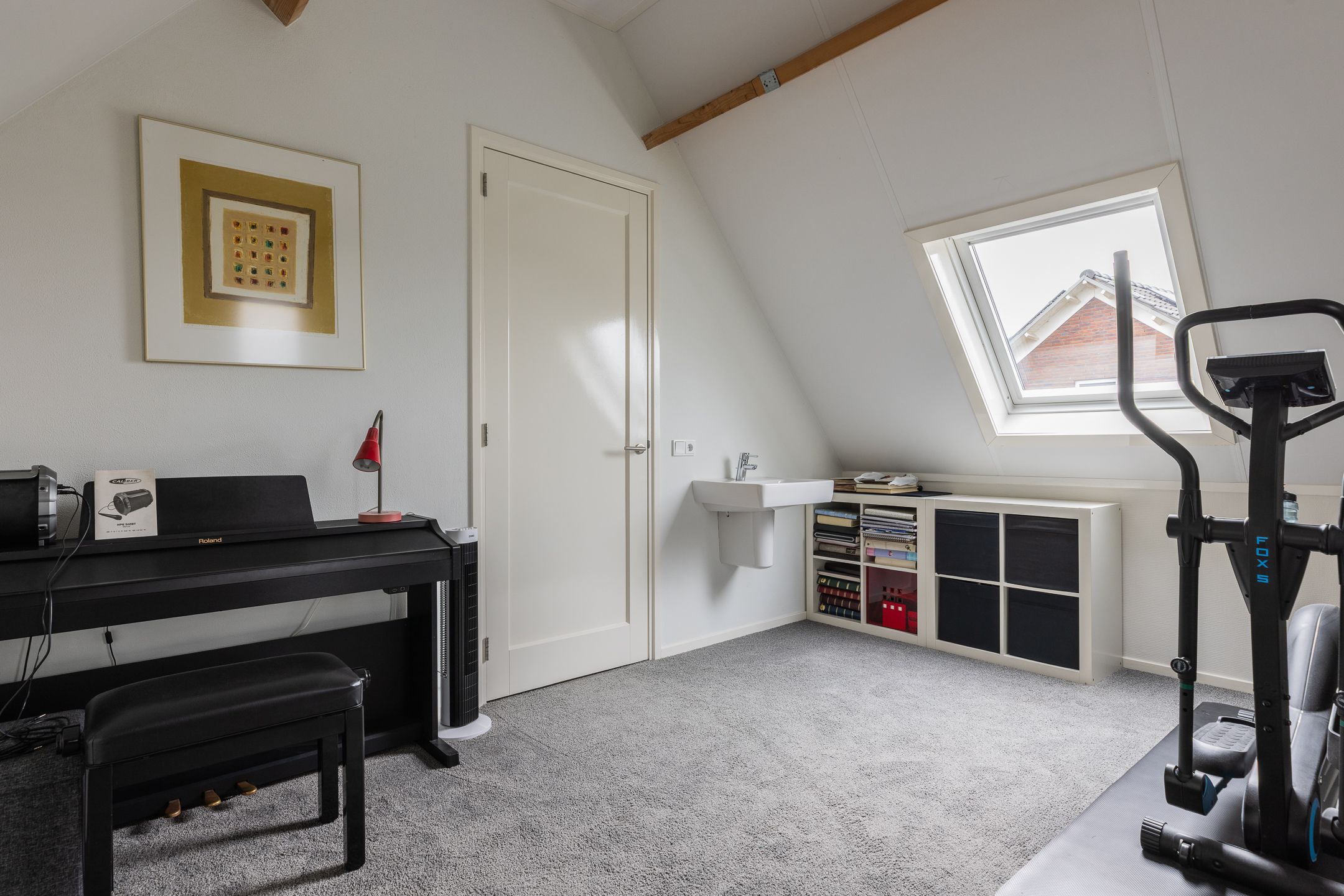 Photo 51 of Watersalamander 41