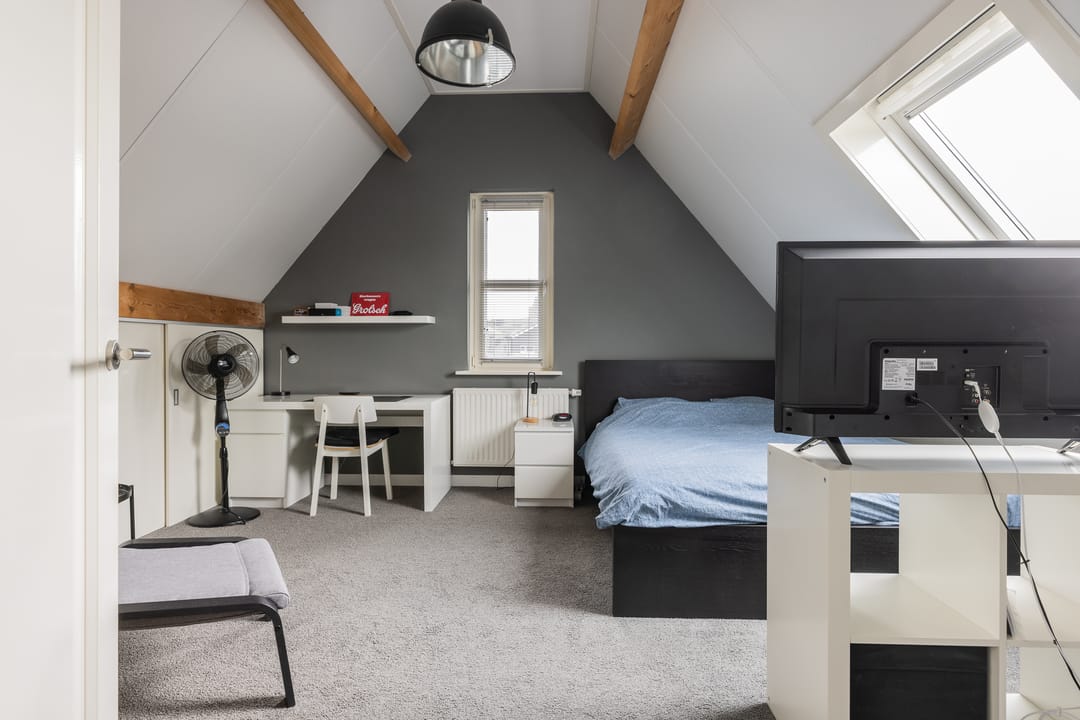 Photo 52 of Watersalamander 41