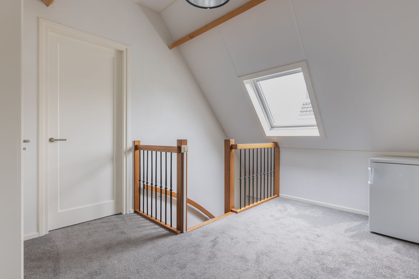 Photo 55 of Watersalamander 41