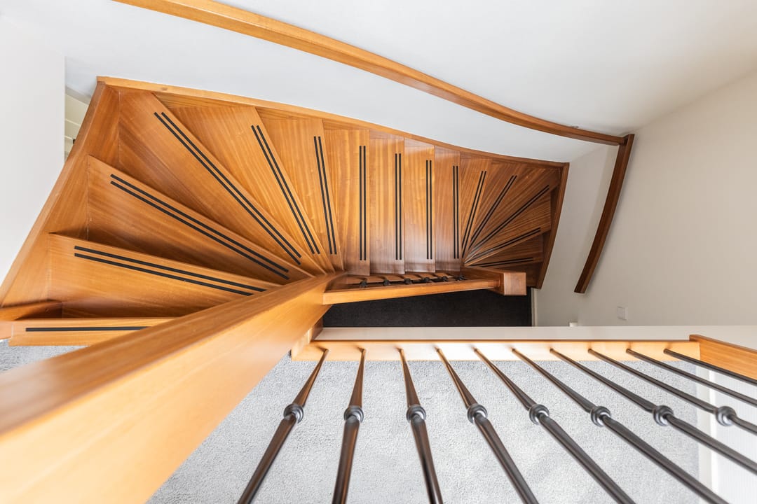 Photo 56 of Watersalamander 41