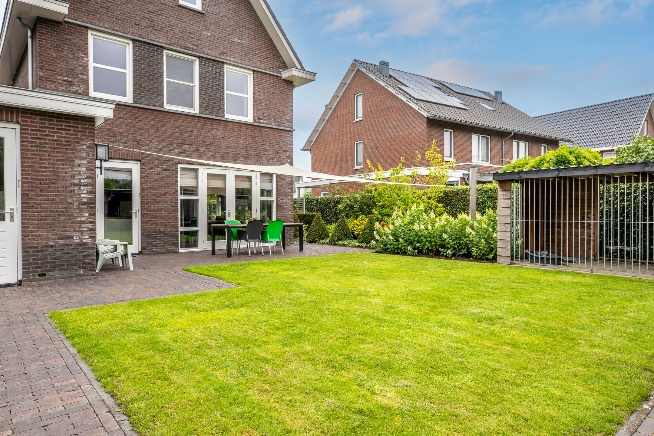 Photo 57 of Watersalamander 41