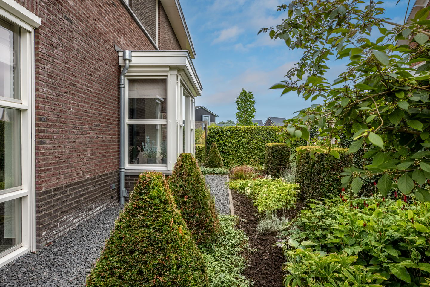 Photo 59 of Watersalamander 41