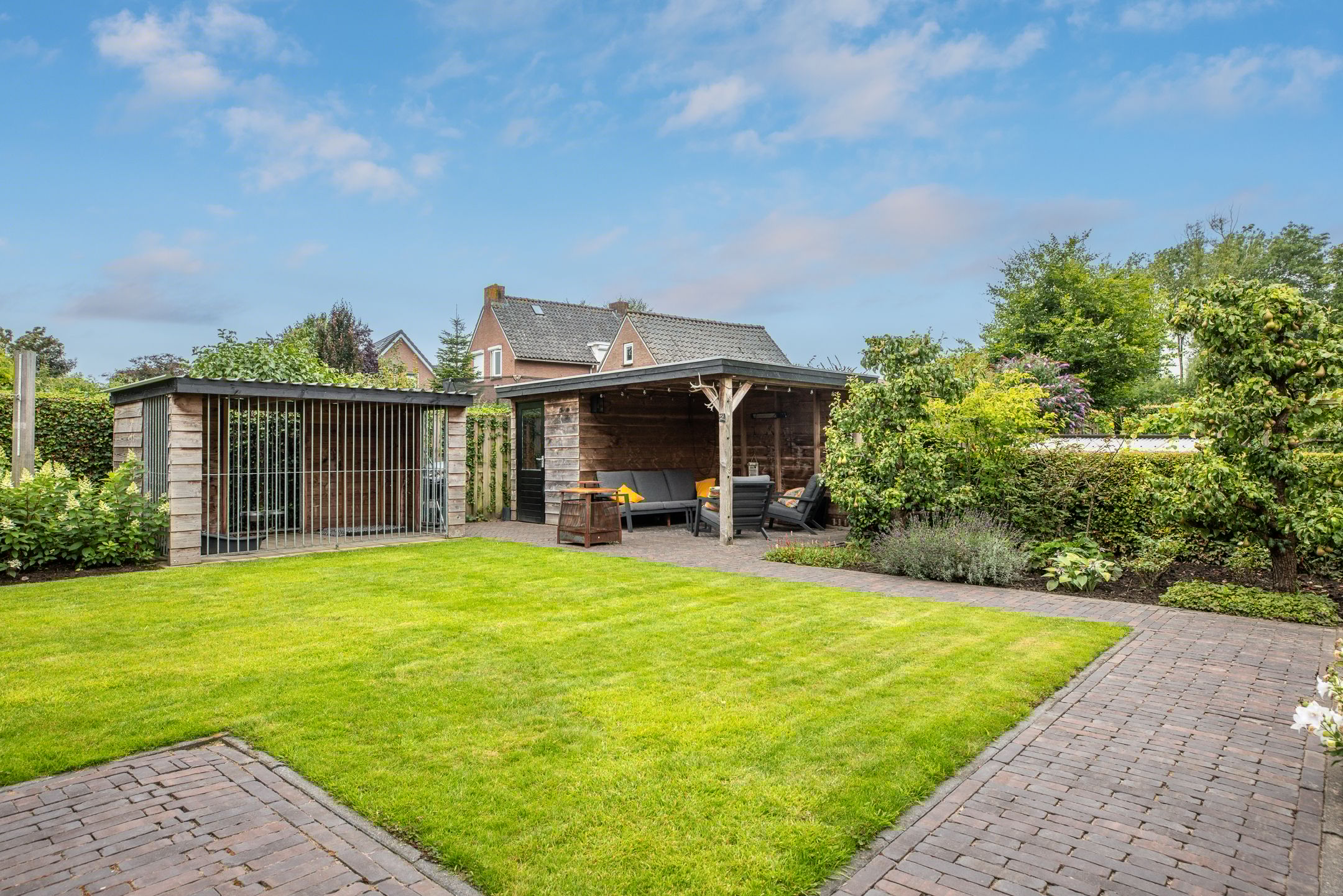 Photo 60 of Watersalamander 41