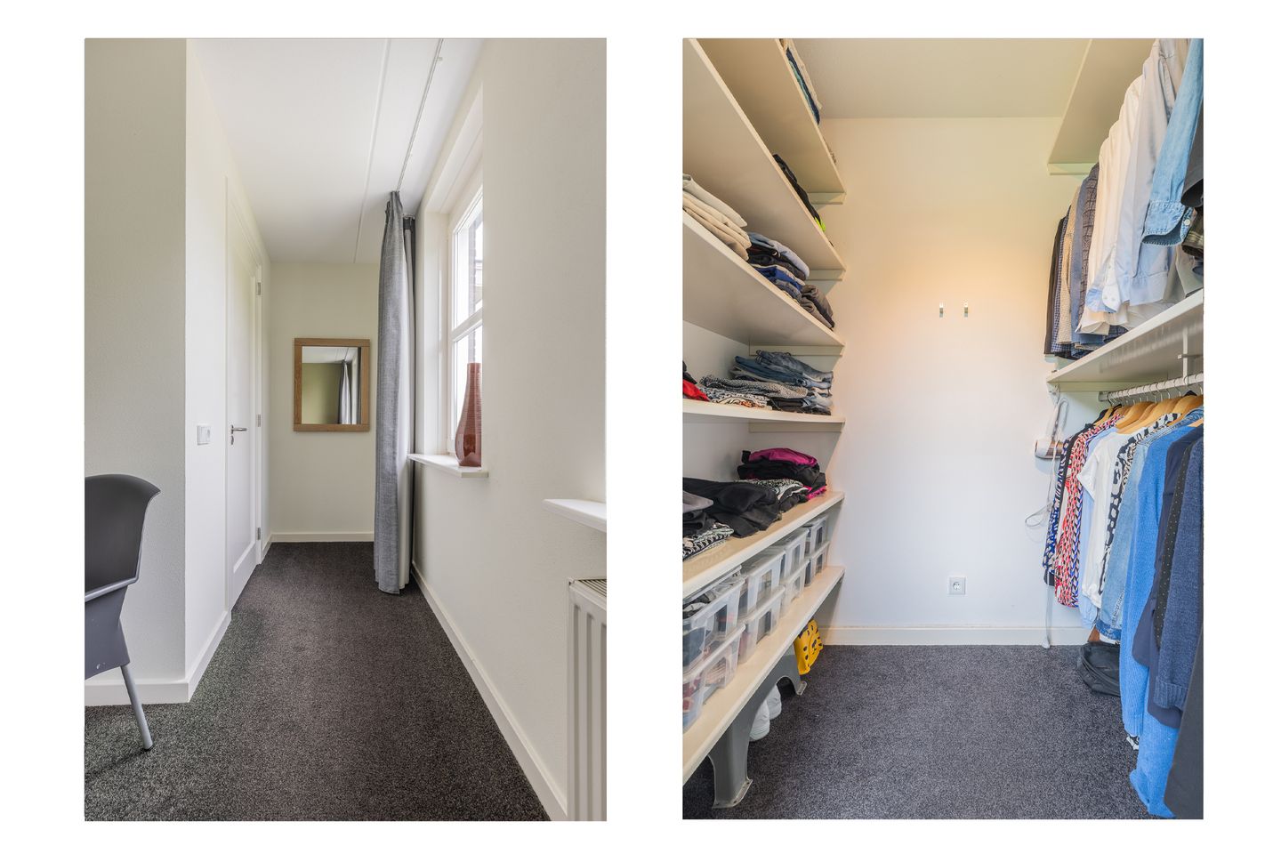 Photo 40 of Watersalamander 41