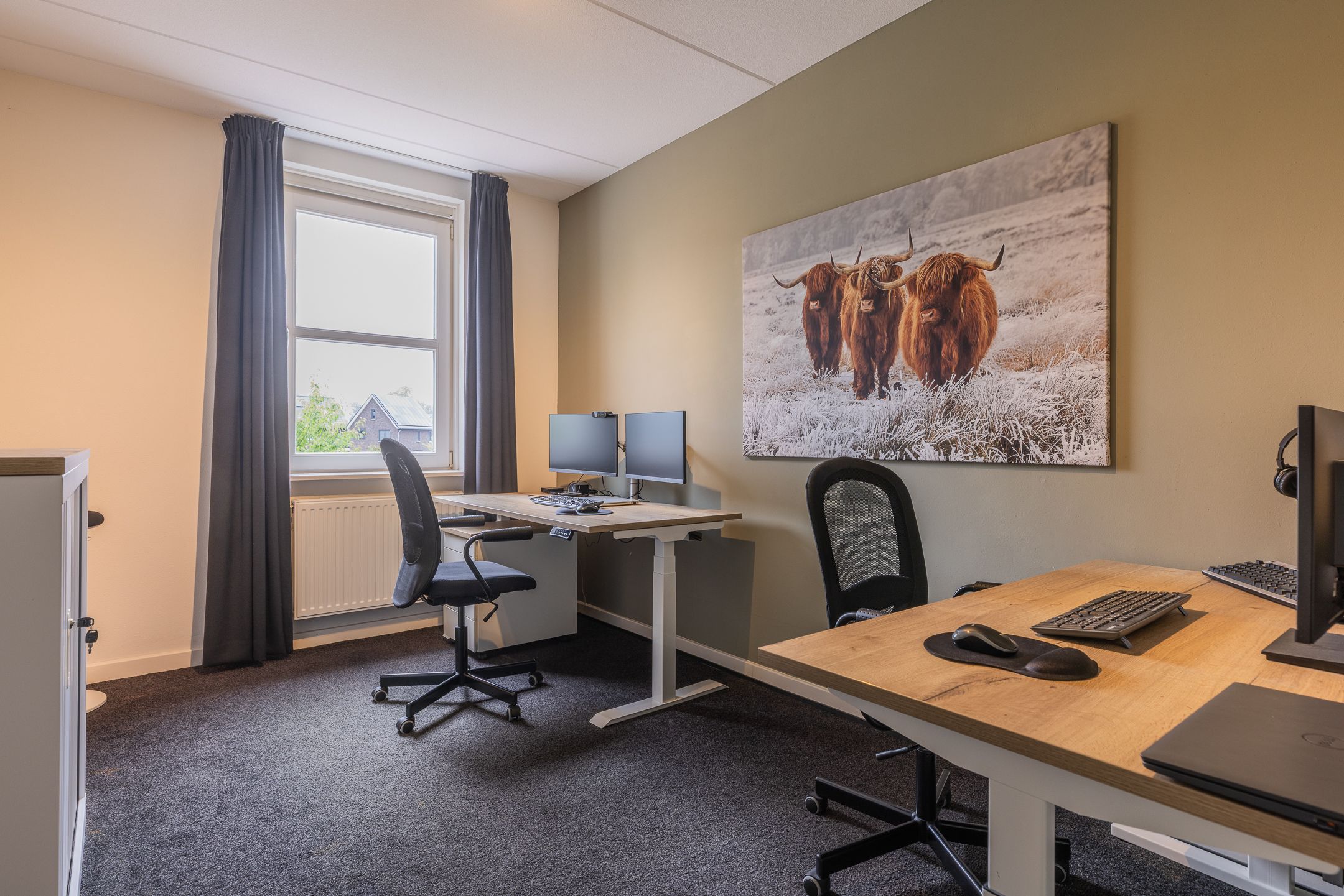 Photo 42 of Watersalamander 41