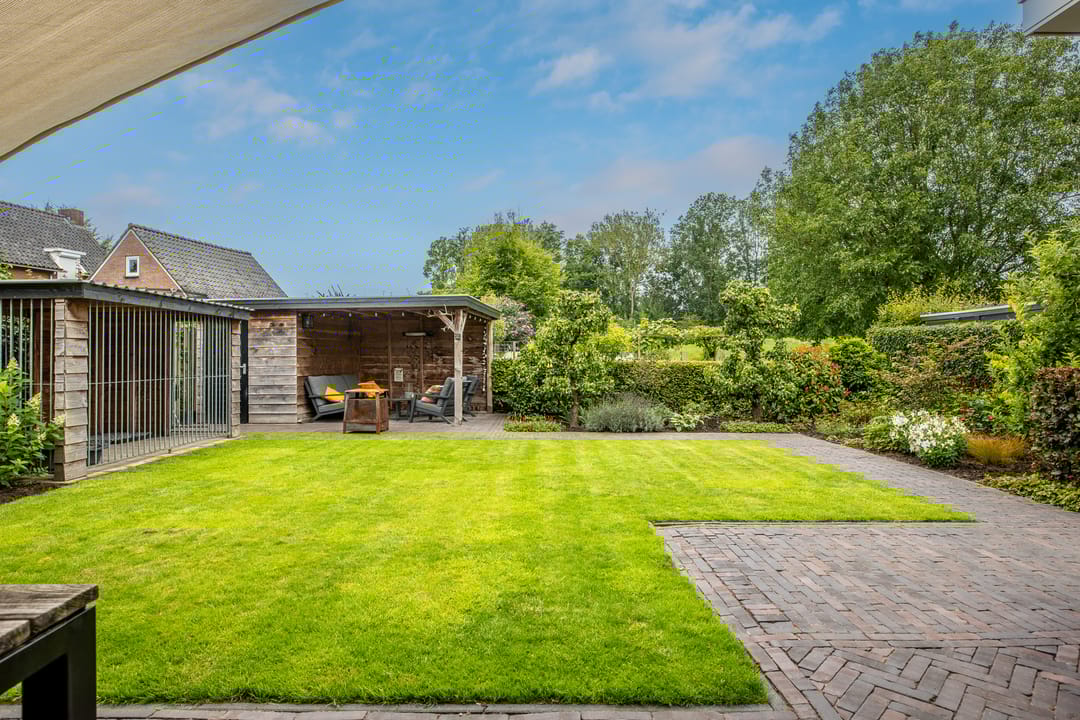 Photo 61 of Watersalamander 41