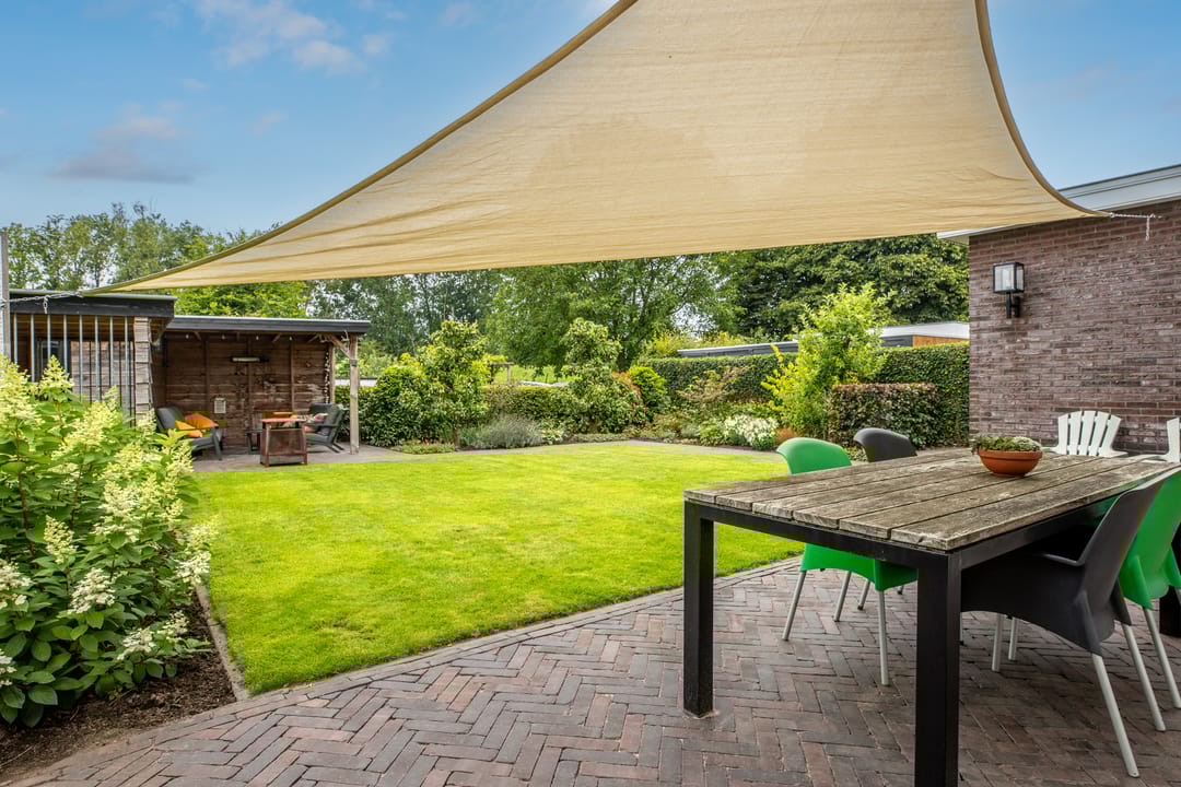 Photo 62 of Watersalamander 41