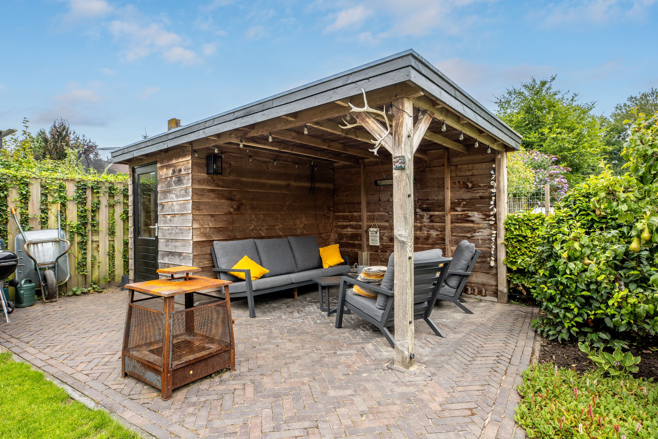 Photo 63 of Watersalamander 41