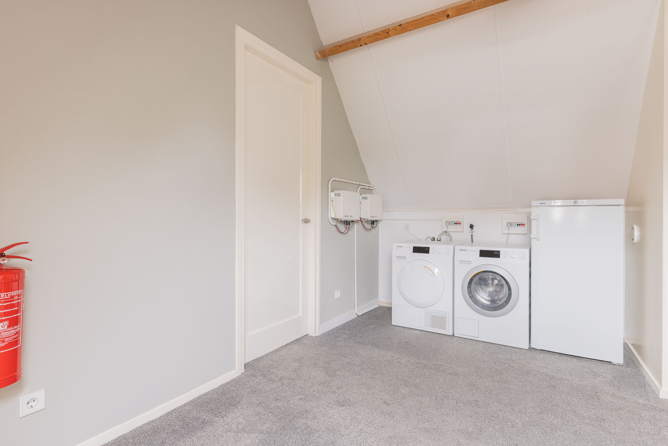 Photo 54 of Watersalamander 41