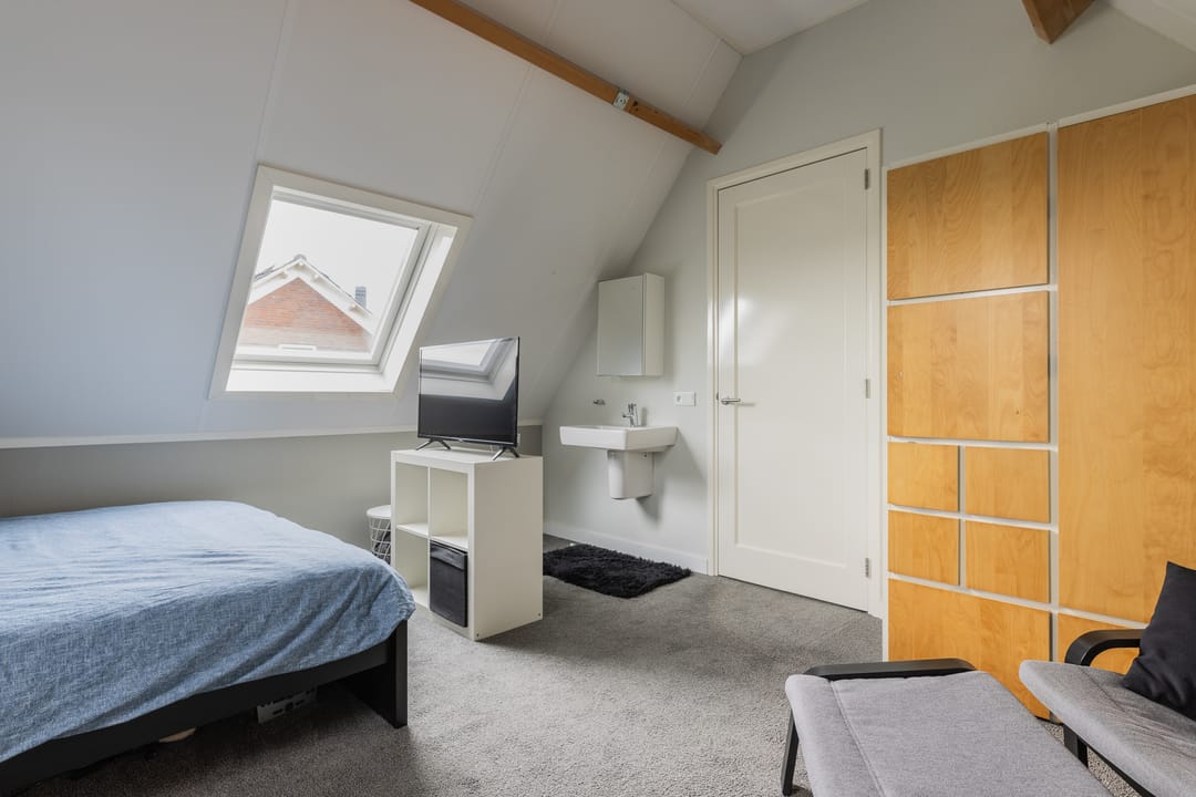 Photo 53 of Watersalamander 41