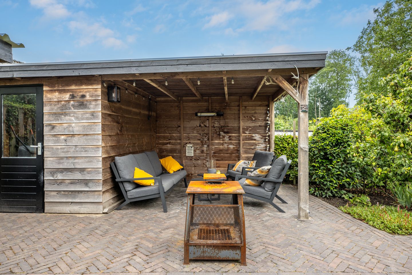 Photo 64 of Watersalamander 41