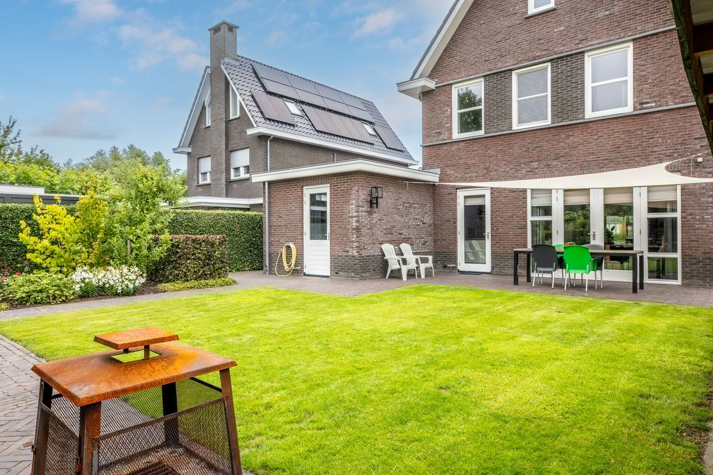 Photo 65 of Watersalamander 41