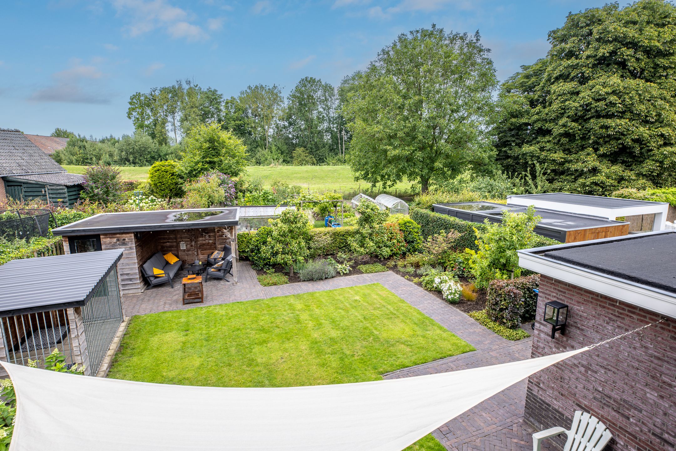 Photo 66 of Watersalamander 41