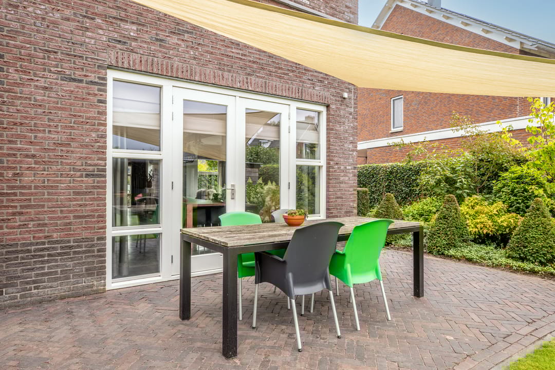 Photo 67 of Watersalamander 41