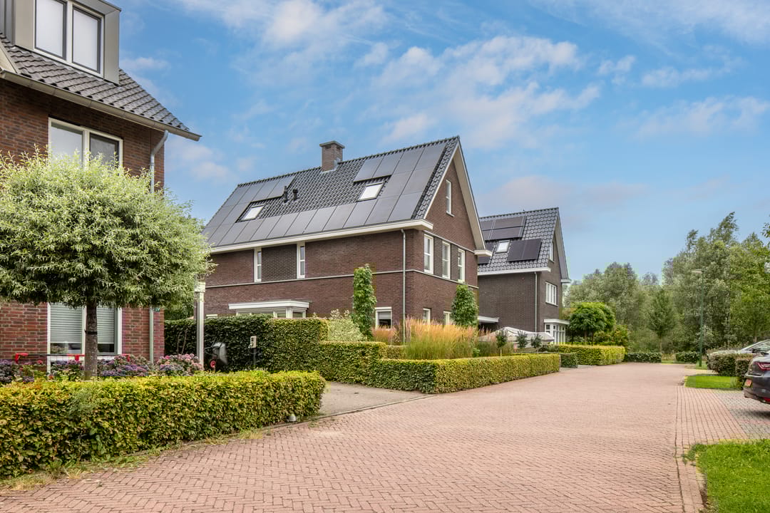 Photo 68 of Watersalamander 41