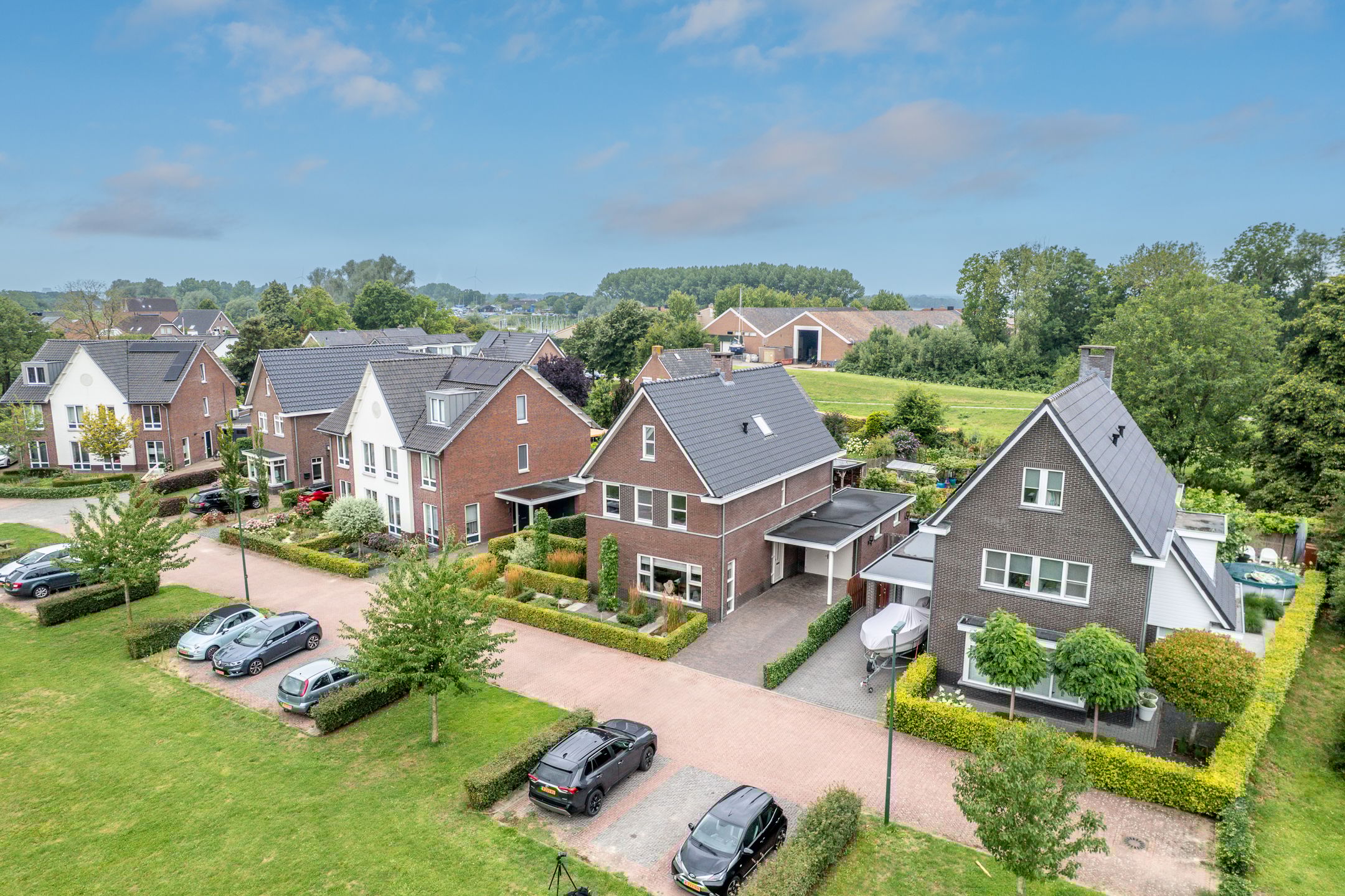 Photo 69 of Watersalamander 41