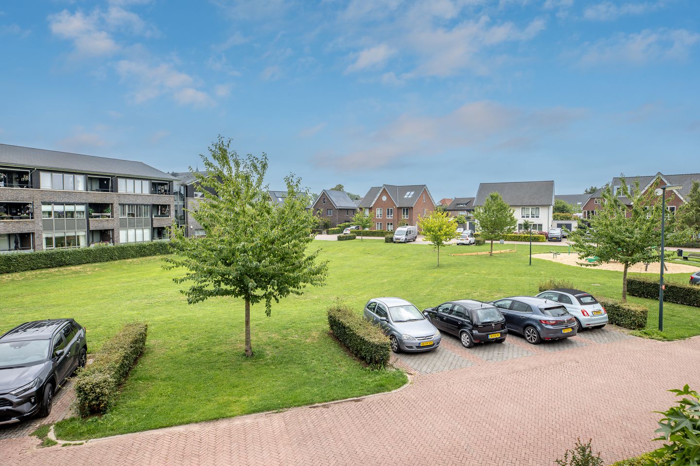 Photo 70 of Watersalamander 41