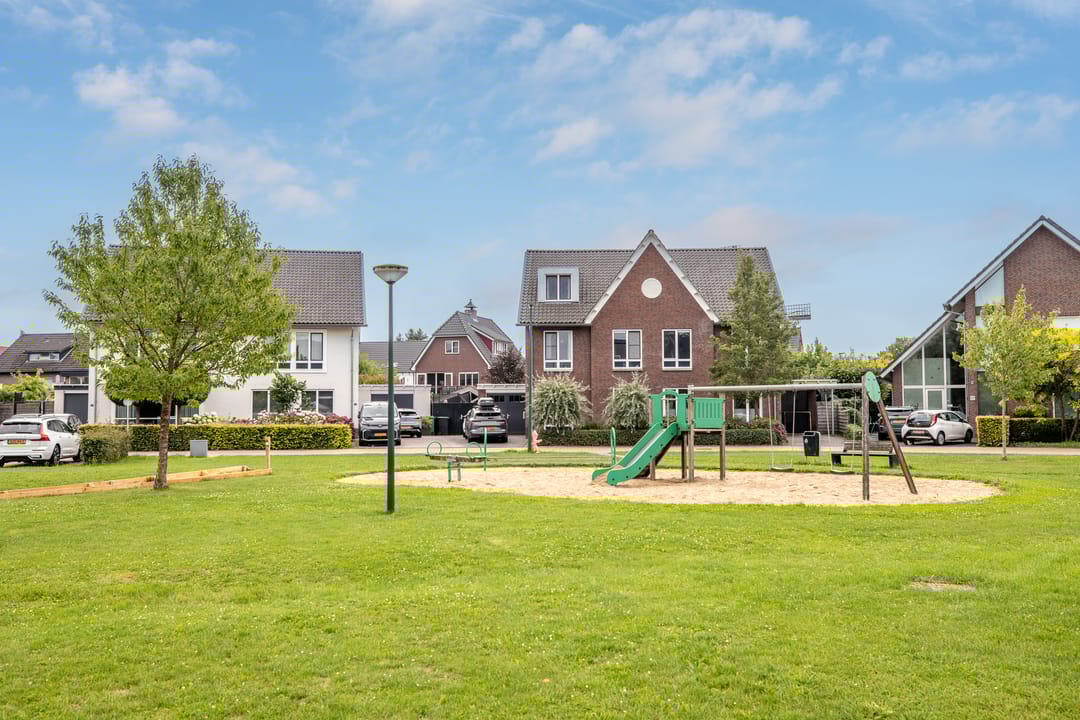 Photo 71 of Watersalamander 41