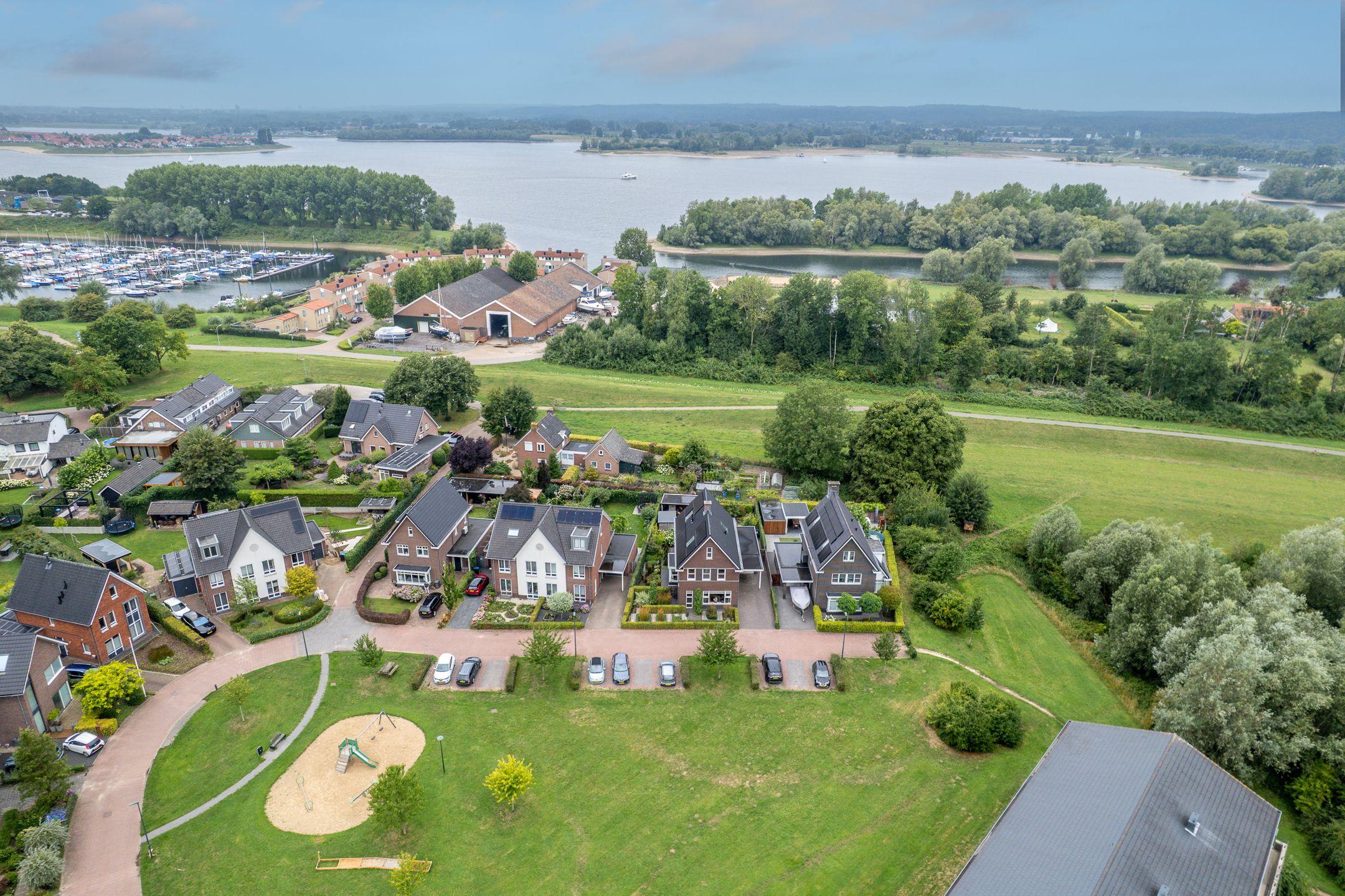 Photo 72 of Watersalamander 41