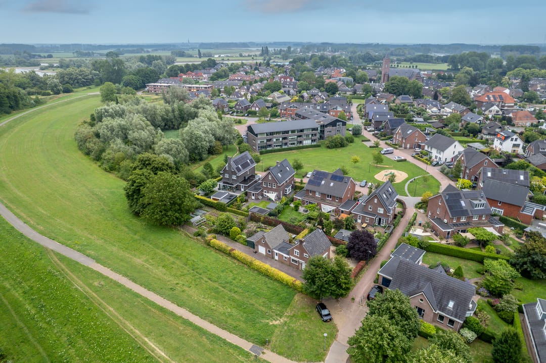 Photo 73 of Watersalamander 41