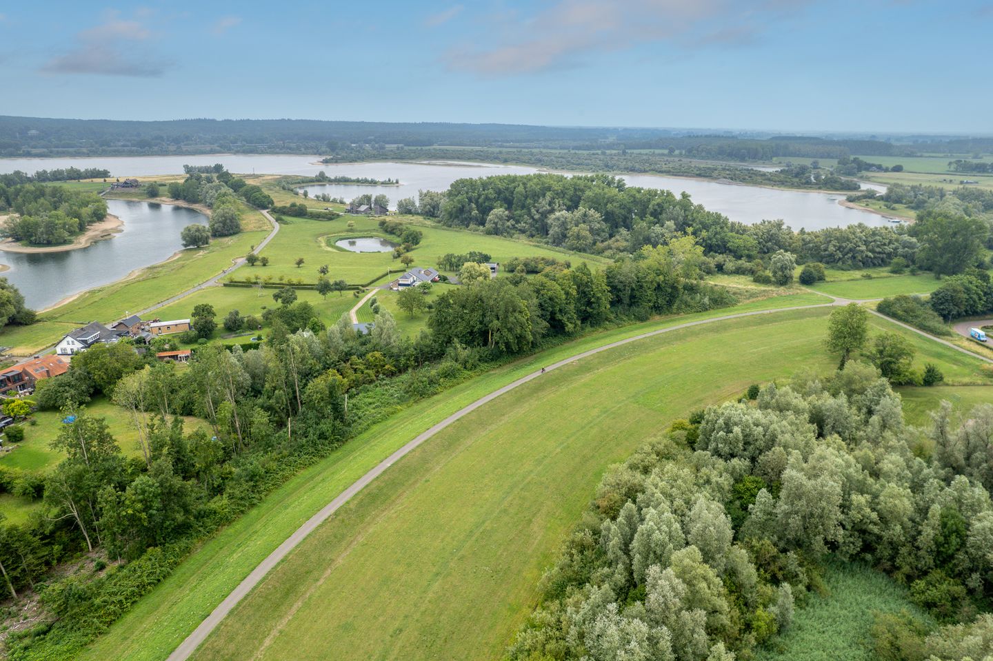 Photo 74 of Watersalamander 41