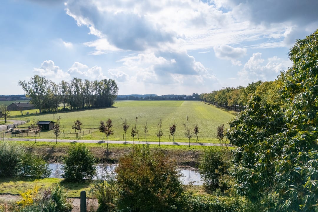 Photo 38 of Vogelweide 95