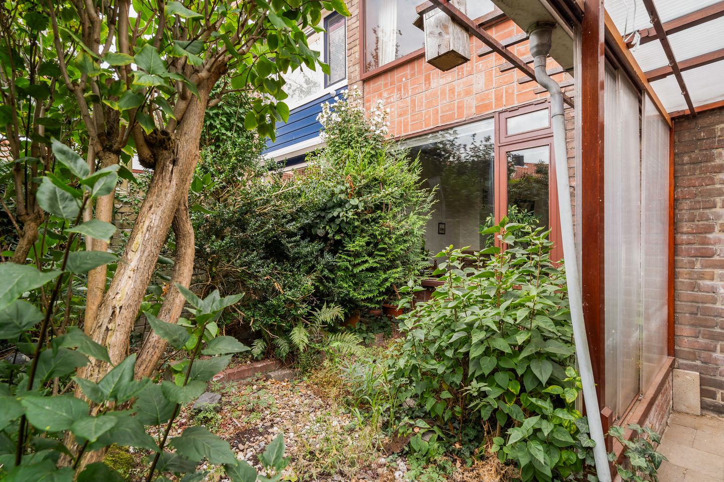 Foto 10 van Kwaklaan 36