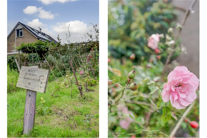 Foto 4 van Troelstrastraat 16