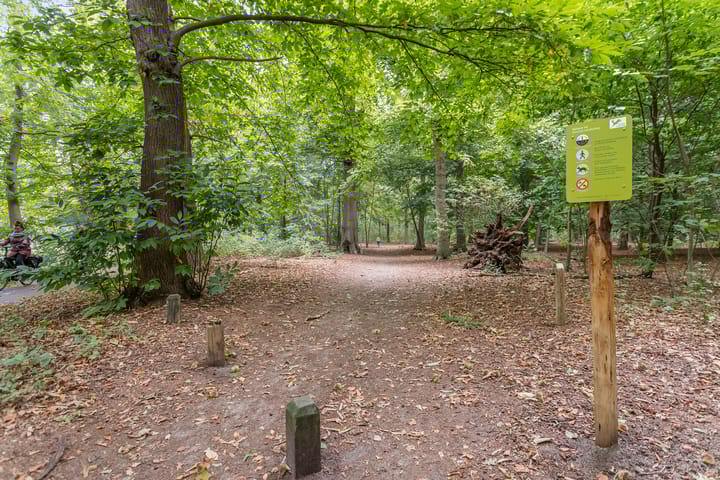 Photo 37 of Akker 79