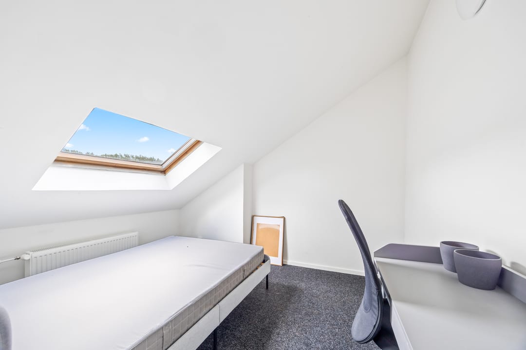 Foto 17 van Linnaeusstraat 330