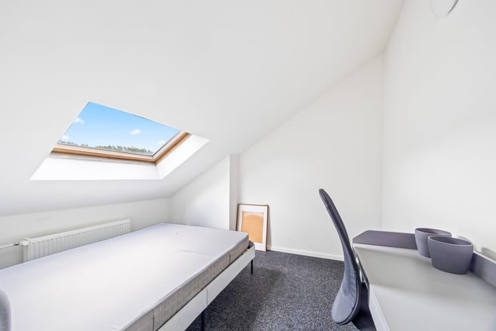 Foto 17 van Linnaeusstraat 330