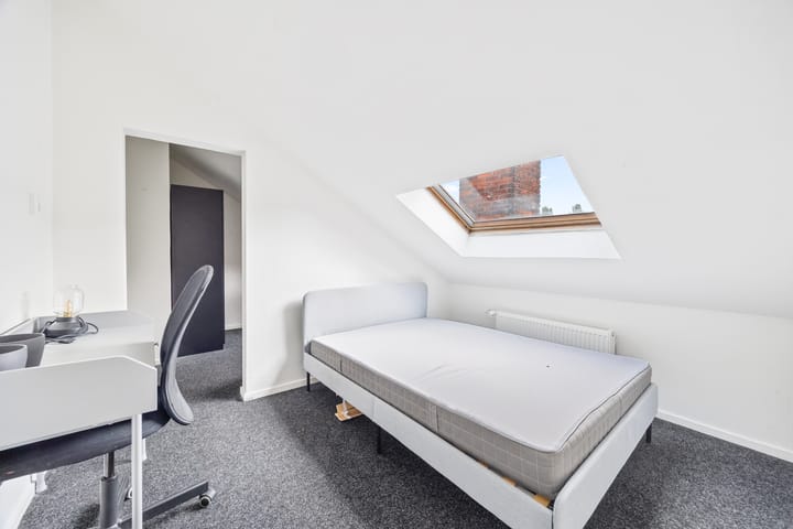 Foto 18 van Linnaeusstraat 330