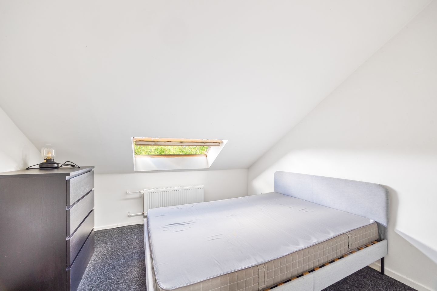 Foto 19 van Linnaeusstraat 330