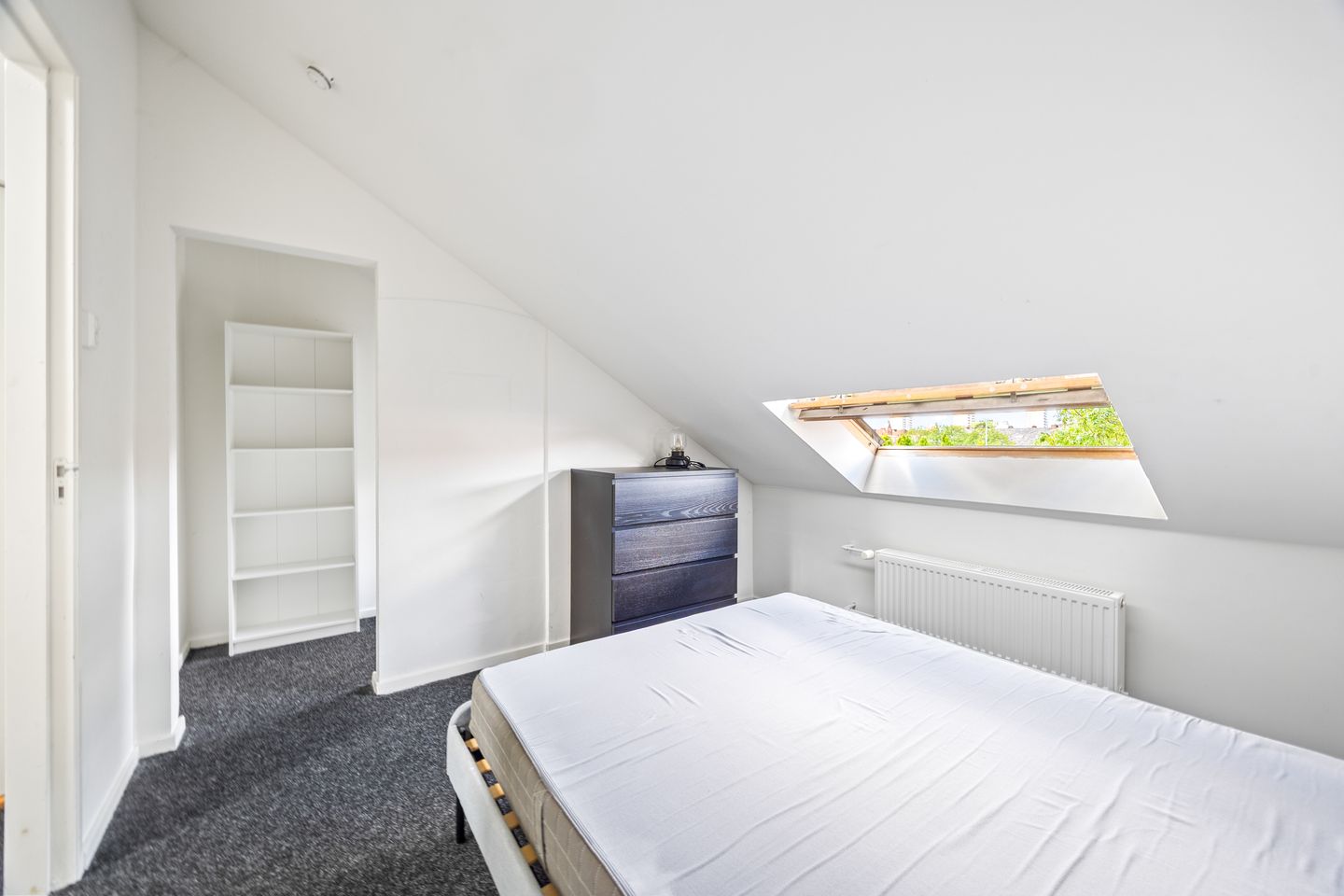 Foto 20 van Linnaeusstraat 330