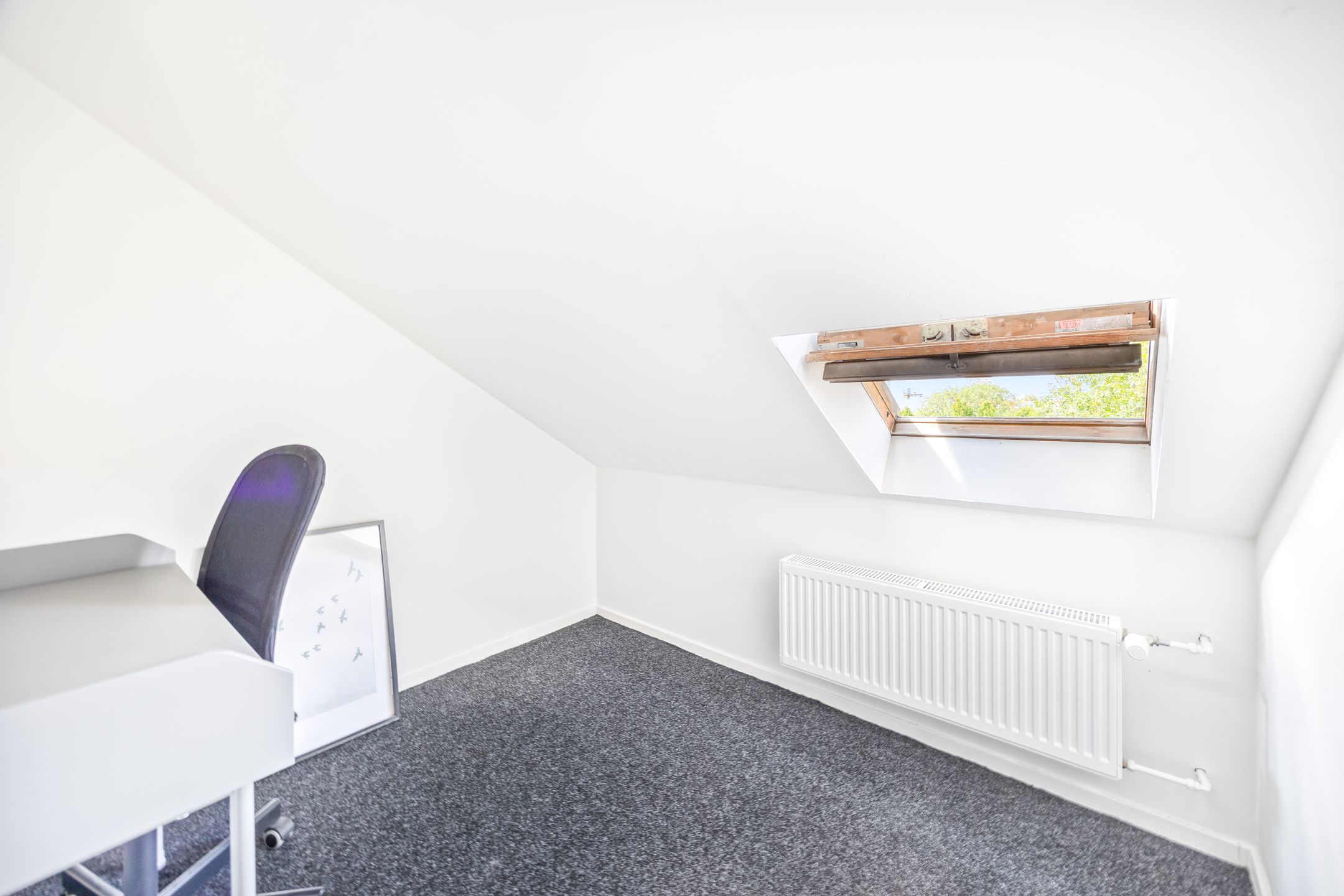 Foto 21 van Linnaeusstraat 330