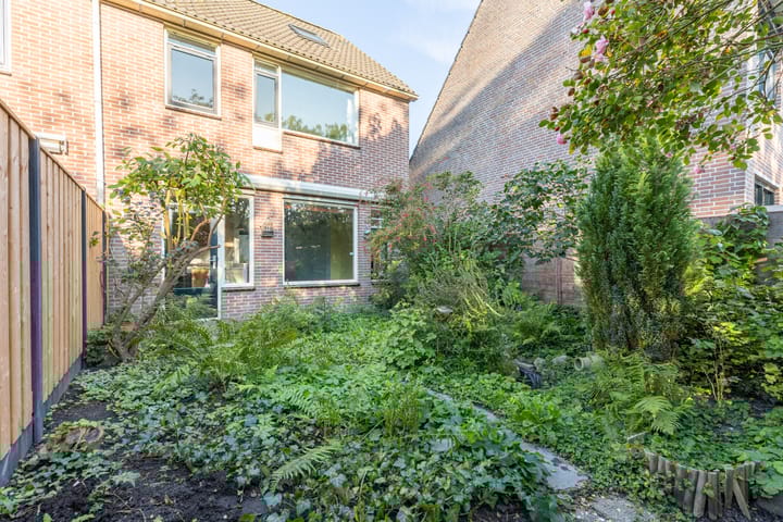 Foto 38 van De Klip 50