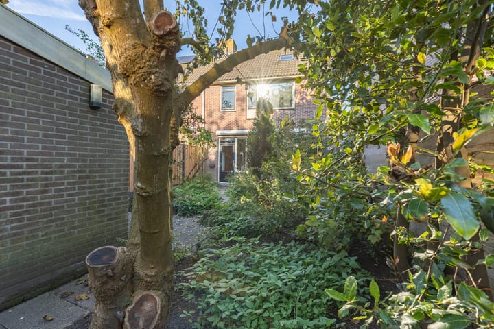 Foto 39 van De Klip 50