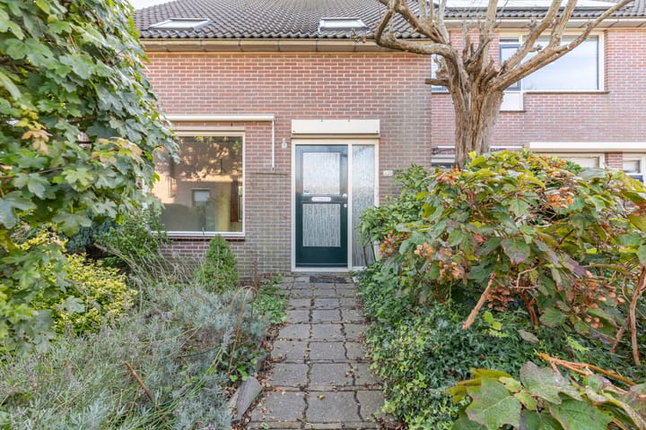 Foto 41 van De Klip 50