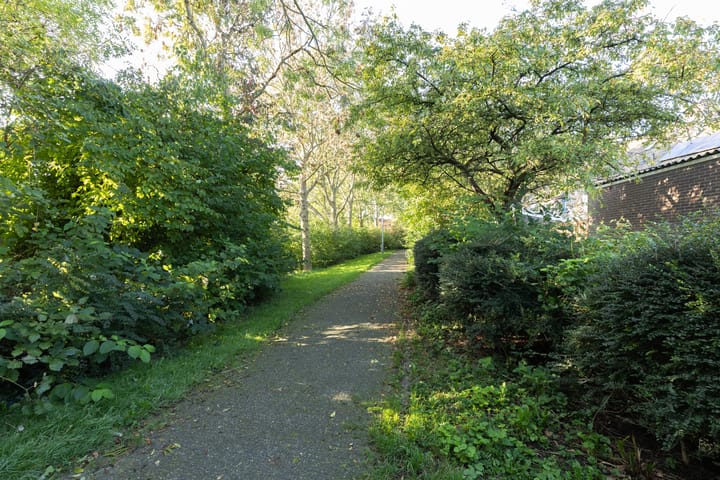 Foto 44 van De Klip 50