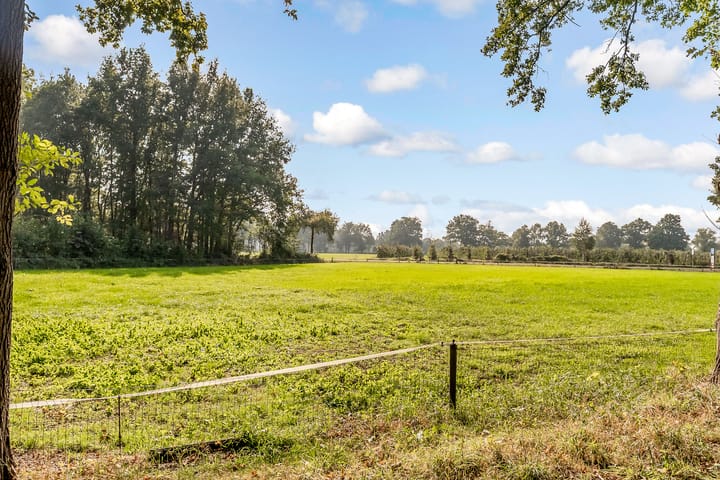 Foto 37 van Grenssteen 19