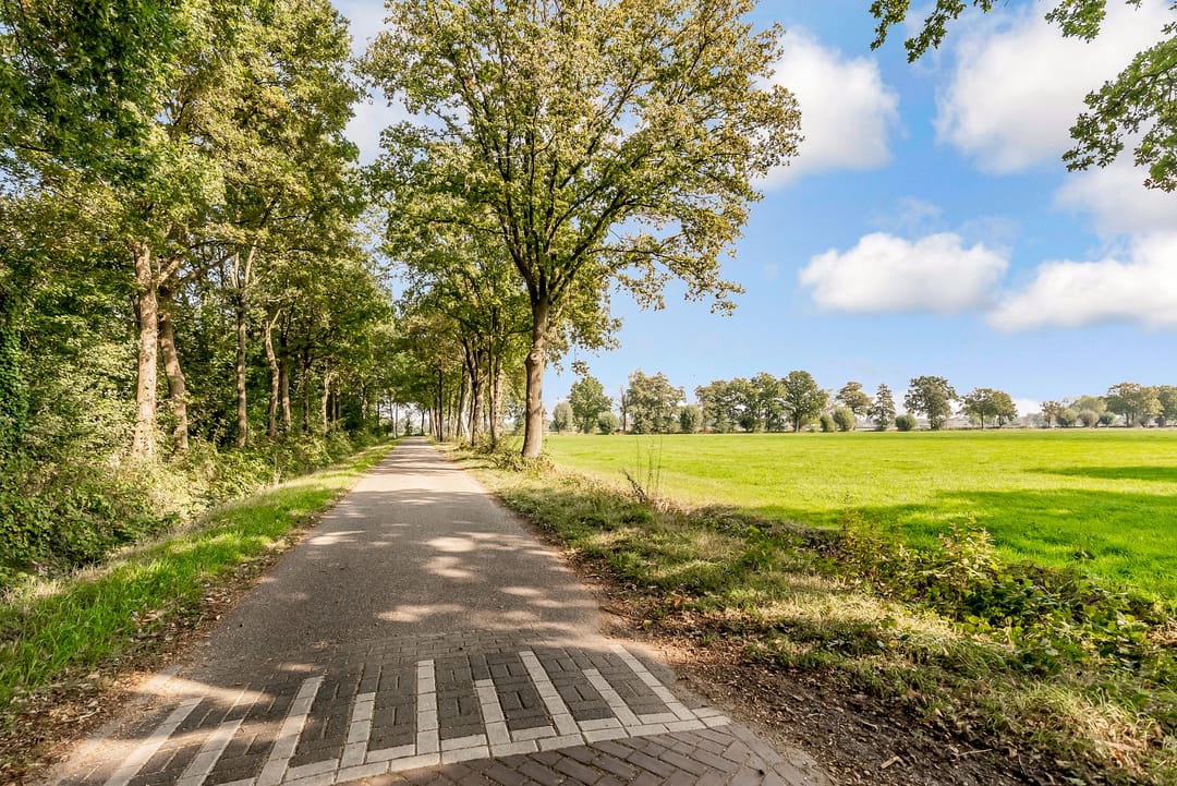 Foto 38 van Grenssteen 19