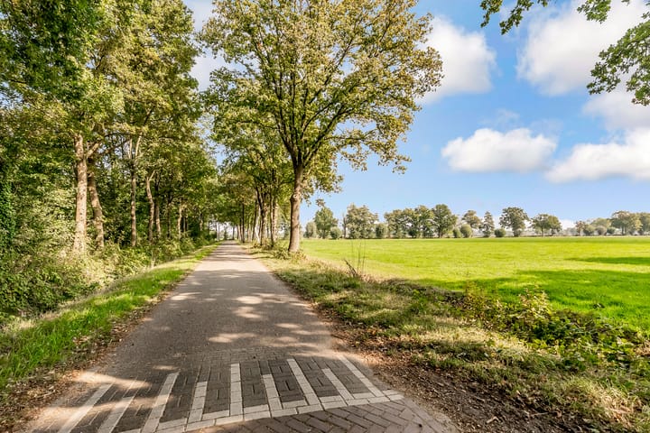 Foto 38 van Grenssteen 19