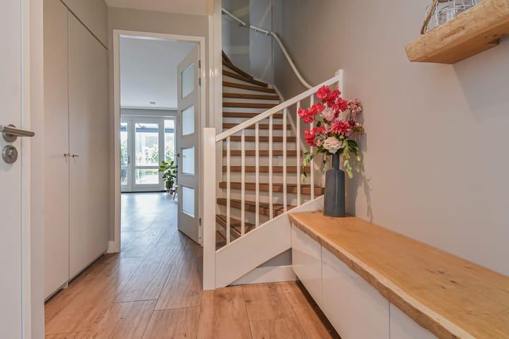 Foto 5 van Menagerie 5