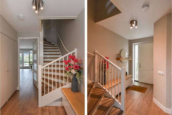 Foto 7 van Menagerie 5