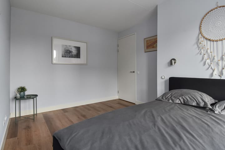 Foto 45 van Menagerie 5