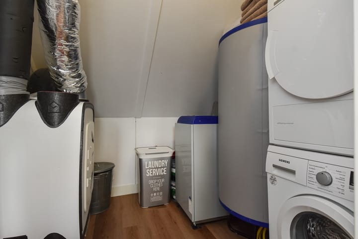 Foto 54 van Menagerie 5